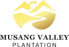 MUSANG VALLEY PLANTATION SDN BHD